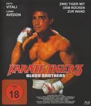 Kick-Boxer 2: Blood Brothers (1990)