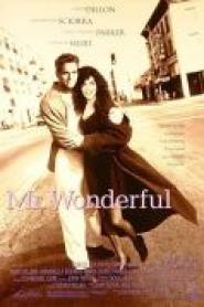 Mr. Wonderful