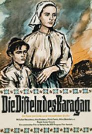 Die Disteln des Baragan