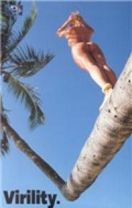 Die Hure des Panthers