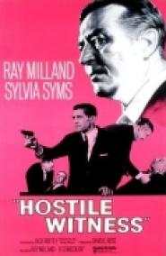 Hostile Witness - Im Netz gefangen