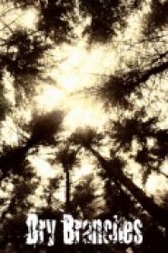 Dry Branches