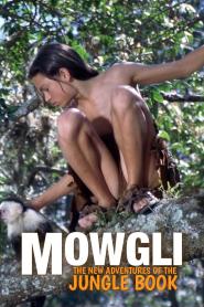 Mowgli - Neue Abenteuer aus dem Dschungel