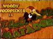 The Hollywood Matador