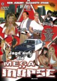 Jagd auf die Mega Möpse