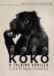 Koko, a Talking Gorilla