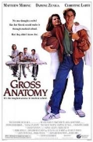 Liebe, Stress und Fieberkurven