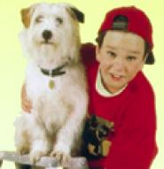 The Bob Morrison Show