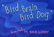 Bird-Brain Bird Dog