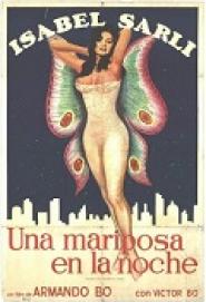 Una Mariposa en la noche