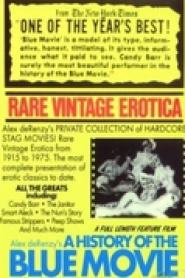 A History of the Blue Movie