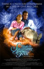 Under the Sycamore Tree