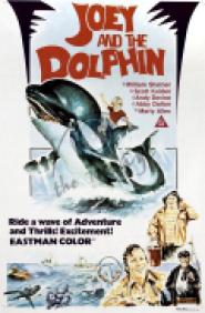 Ferien mit einem Wal