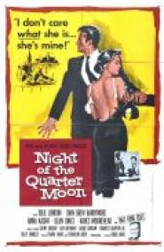 Erinnerung einer Nacht