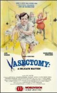 Vasectomy: A Delicate Matter