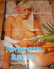 Schwedenporno in Paris