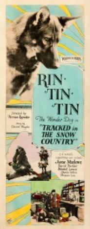 Rin-Tin-Tin bei den Goldsuchern