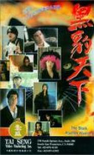 Black Panther Warriors (1993)