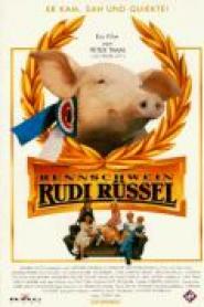 Rennschwein Rudi Rüssel