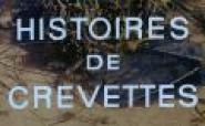 Histoires de crevettes