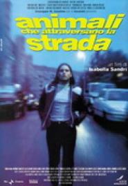 Animals Crossing the Road