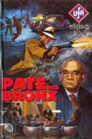 Pate der Bronx