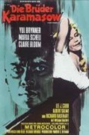 Die Brüder Karamasow