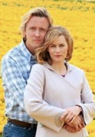 Tulpen aus Amsterdam