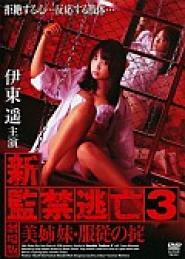 Shin kankin tôbô 3: Bishimai · fukujû no okite: Gekijô-ban