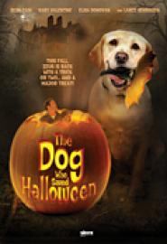 Ein Hund rettet Halloween