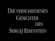 Die Verschiedenen Gesichter des Sergej Eisenstein