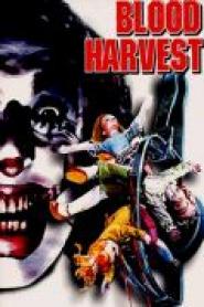 Blood Harvest