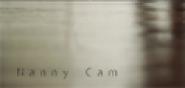 Nanny Cam