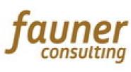 Fauner Consulting