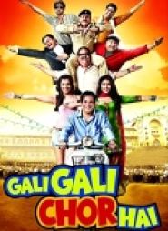 Gali Gali Chor Hai