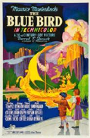 The Blue Bird