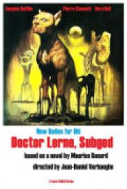 Étrange château du docteur Lerne, L'