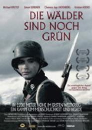 Die Wälder sind noch grün