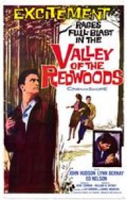 Valley of the Redwoods