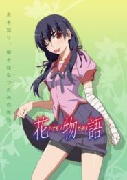 Hanamonogatari: Suruga Devil