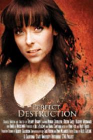 Perfect Destruction