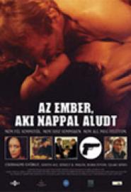 Ember, aki nappal aludt, Az