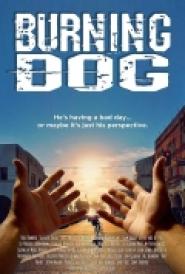 Burning Dog