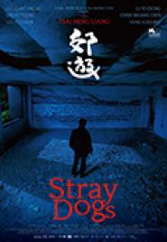Stray Dogs