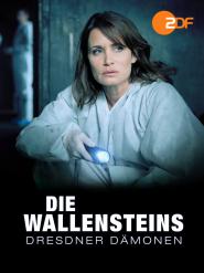 Die Wallensteins: Dresdner Dämonen