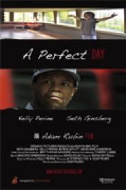 A Perfect Day