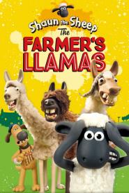 Shaun das Schaf - Die Lamas des Farmers