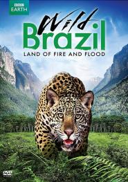 Wildes Brasilien - Land aus Feuer und Wasser