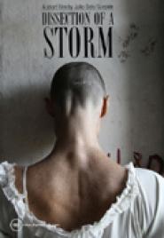 Dissection of a Storm