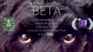 Beta